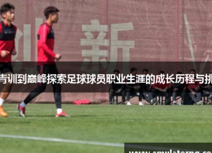 警惕成人焦虑误入青训场