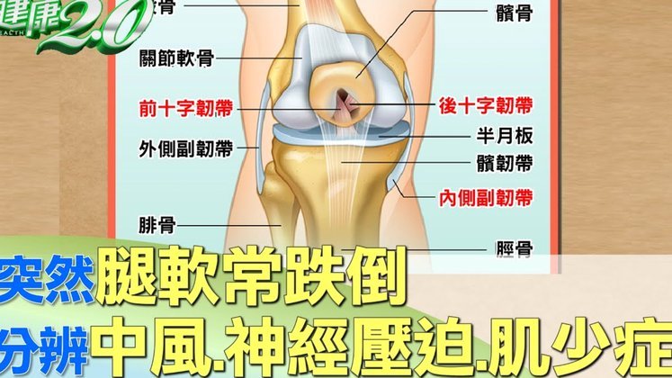 官方：高迪左膝内侧半月板后角撕裂，恢复时间为4周