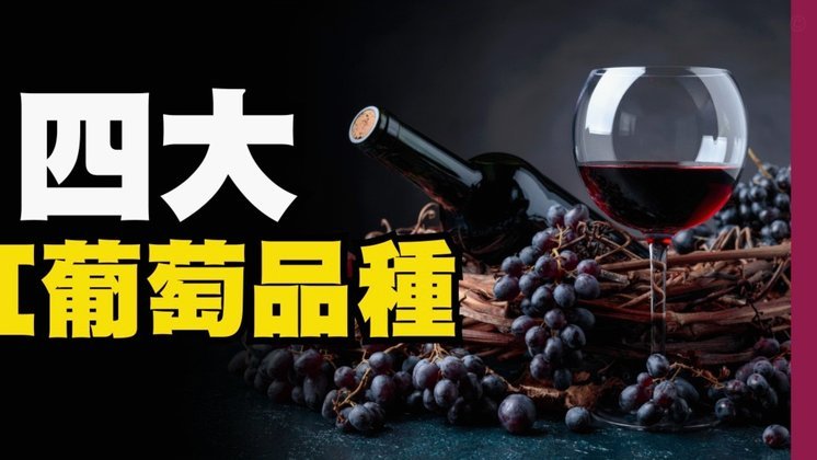 韦世豪：可能从国家队回来状态较好；相信葡萄牙能夺冠