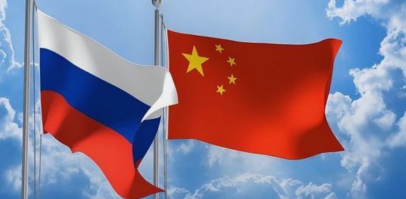 申花球迷：大人拿孩子当枪使，无耻！