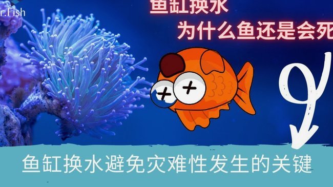 稀盐酸：我为什么不说话